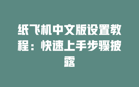 纸飞机中文版设置教程：快速上手步骤披露 一